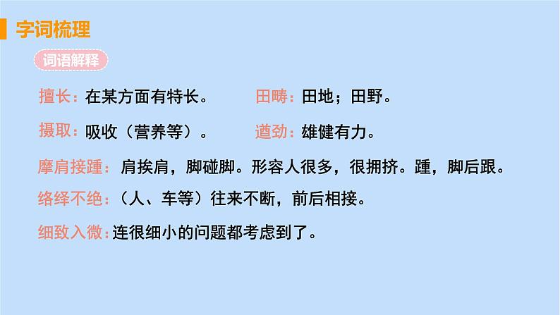 八年级语文上册第五单元说明之美22梦回繁华教学课件07