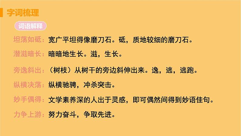 八年级语文上册第四单元凡人真情15白杨礼赞教学课件08