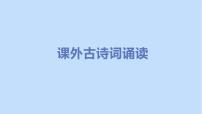 2021学年课外古诗词诵读综合与测试教学课件ppt