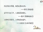 19《 一棵小桃树》课件