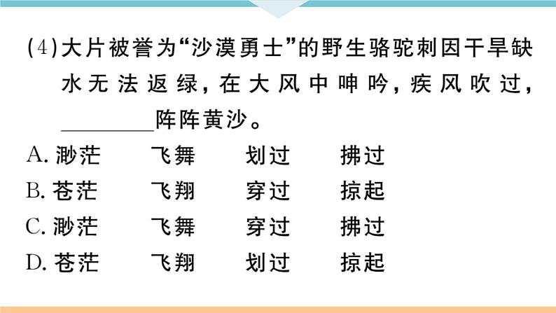 4 海燕第4页