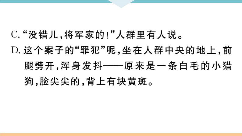 6 变色龙第6页