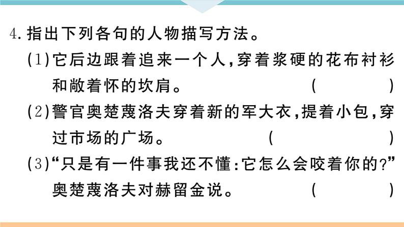 6 变色龙第7页