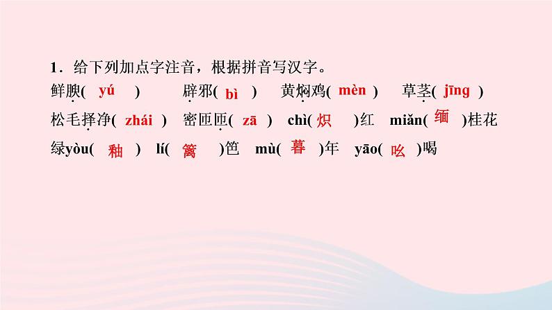 八年级语文上册第四单元17昆明的雨作业课件03