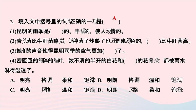 八年级语文上册第四单元17昆明的雨作业课件04