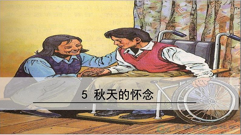 七年级语文上册 第二单元 5秋天的怀念课件01