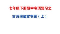 13 古诗词鉴赏专题(上)-2021年春学期七年级语文期中专项复习