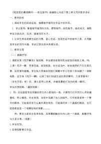 初中语文人教部编版七年级下册写作 抓住细节教案