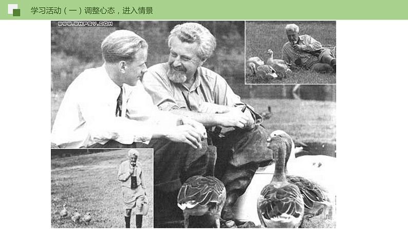 17《动物笑谈》课件+思维导图+习题+范读06