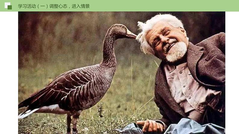 17《动物笑谈》课件+思维导图+习题+范读07