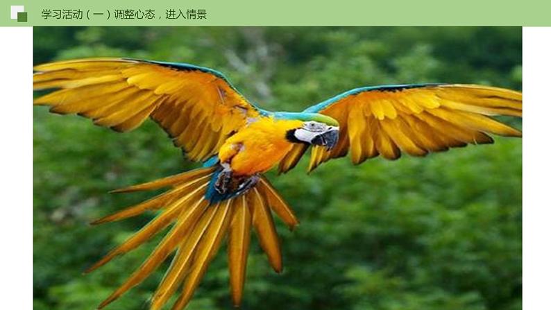 17《动物笑谈》课件+思维导图+习题+范读08