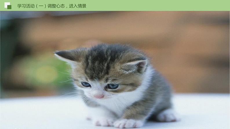 16《猫》课件+思维导图+习题+范读06