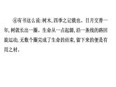 2021-2022学年部编版语文中考复习之线索、主旨课件PPT