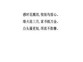 2021-2022学年部编版语文中考复习之情感主旨、语言特色课件PPT