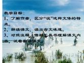 八年级下马说课件