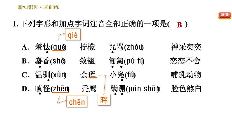 部编版七年级上册语文习题课件 第5单元 17 动物笑谈第4页