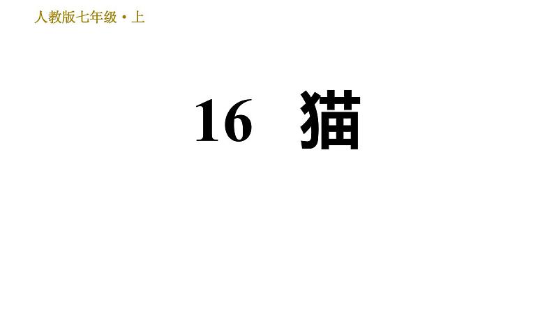 部编版七年级上册语文习题课件 第5单元 16 猫01