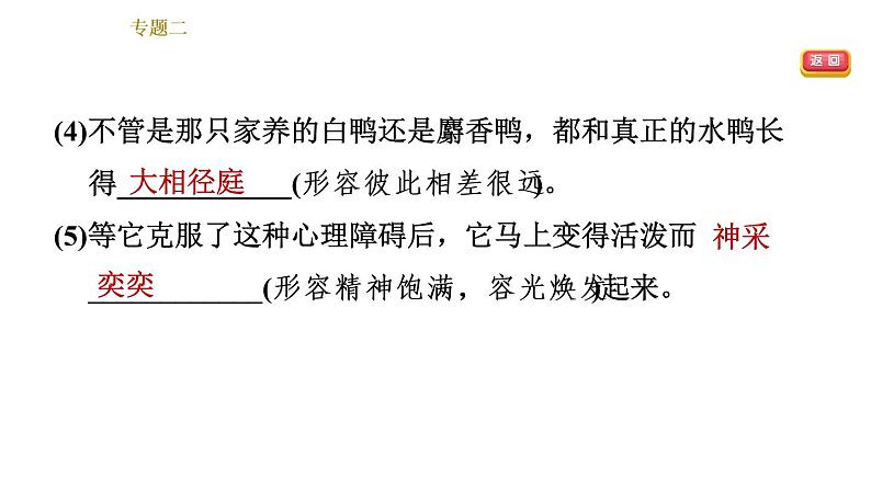 部编版七年级上册语文习题课件 期末专题训练 2.专题二  词语理解与运用第4页