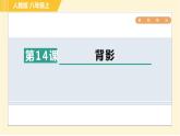 部编版八年级上册语文习题课件 第4单元 14. 背影