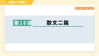 初中语文人教部编版八年级上册4 一着惊海天——目击我国航母舰载战斗机首架次成功着舰习题ppt课件