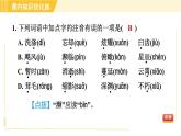 部编版八年级上册语文习题课件 第4单元 16. 散文二篇