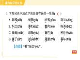 部编版八年级上册语文习题课件 第4单元 17. 昆明的雨
