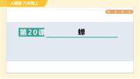 人教部编版八年级上册19* 蝉习题课件ppt