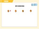 部编版八年级上册语文习题课件 第5单元 20. 蝉