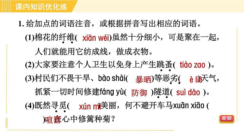 部编版八年级上册语文习题课件 第5单元 20. 蝉05