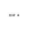 2021-2022学年部编版语文八年级上册蝉课件PPT
