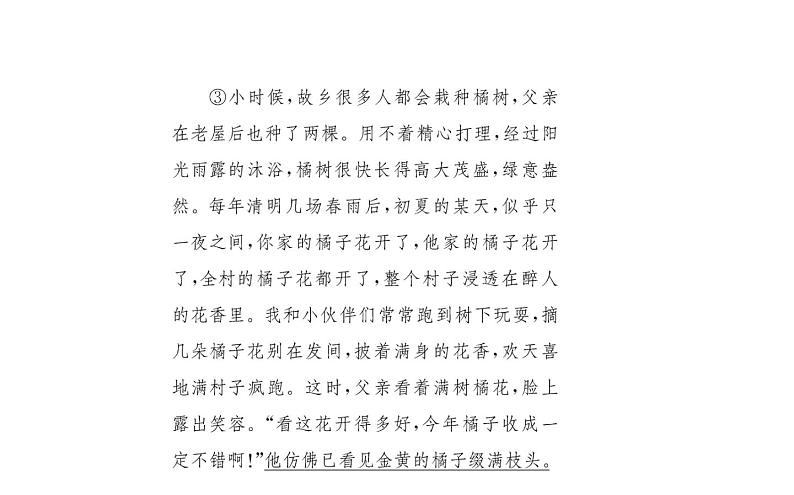 2021-2022学年部编版语文七年级上册7.散文诗二首（同步练习）课件PPT第4页