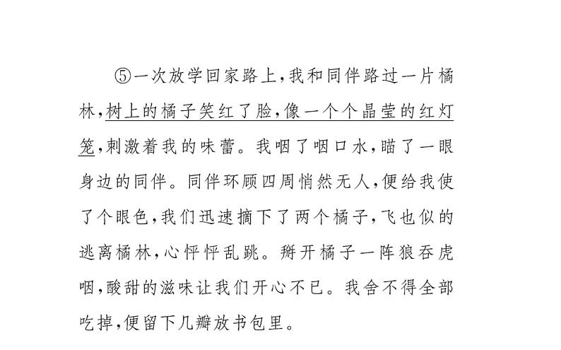 2021-2022学年部编版语文七年级上册7.散文诗二首（同步练习）课件PPT第6页