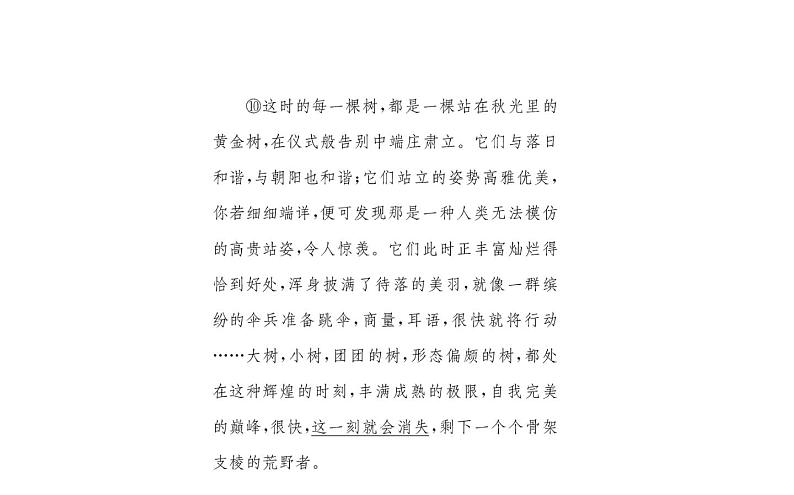 2021-2022学年部编版语文七年级上册3.雨的四季（同步练习）课件PPT06