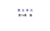 初中语文人教部编版七年级上册16 猫课堂教学课件ppt