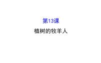 人教部编版七年级上册13 植树的牧羊人课文内容课件ppt