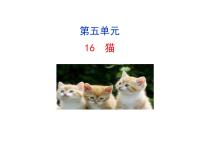 人教部编版七年级上册16 猫课文内容课件ppt