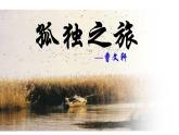 2021-2022学年部编版语文九年级上册课件16孤独之旅