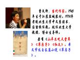2021-2022学年部编版语文九年级上册课件16孤独之旅