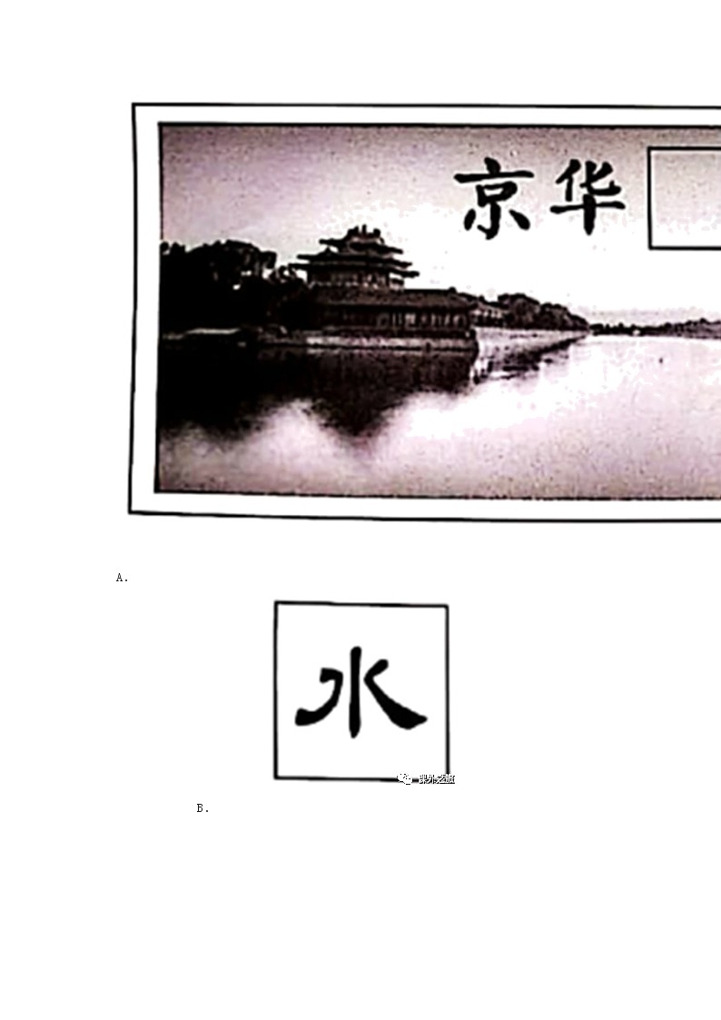 中考语文考点专题复习积累与运用语段阅读综合考查（含解析）第3页