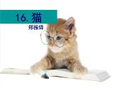 猫课件PPT