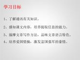 初中语文部编版八年级上册同步课件：4.《一着惊海天》课件19张