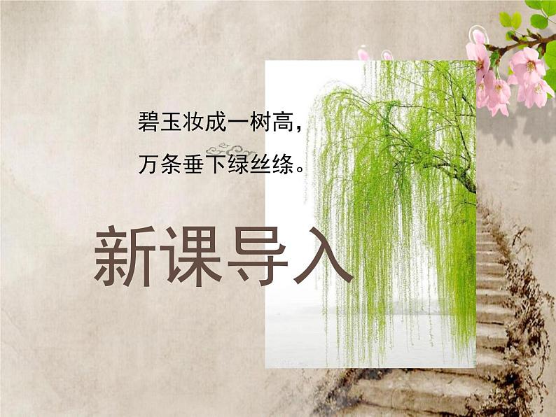 人教部编版语文八年级上册第15课《白杨礼赞》课件（共24张PPT）第1页