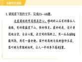 部编版八年级上册语文习题课件 第5单元 19. 苏州园林