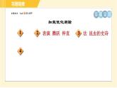 部编版八年级上册语文习题课件 第5单元 20. 蝉