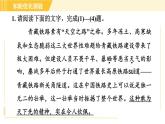 部编版八年级上册语文习题课件 第5单元 20. 蝉