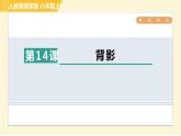 部编版八年级上册语文习题课件 第4单元 14. 背影