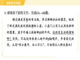 部编版八年级上册语文习题课件 第4单元 17. 昆明的雨