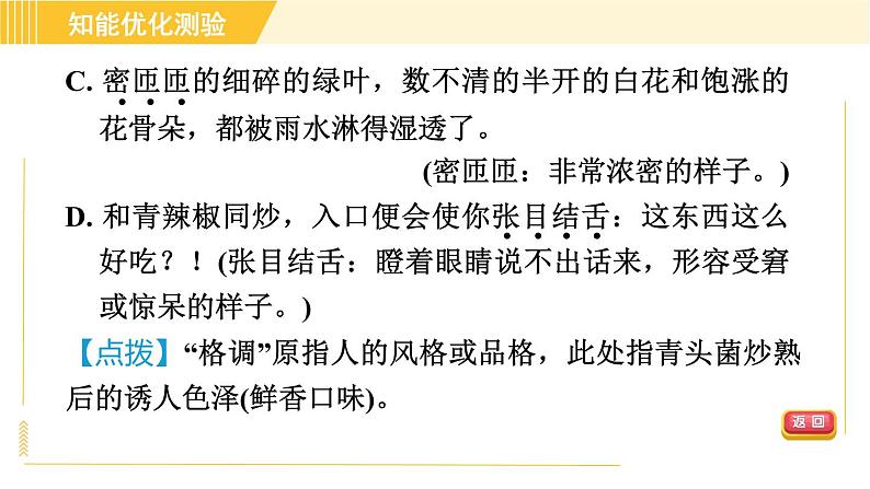 部编版八年级上册语文习题课件 第4单元 17. 昆明的雨07