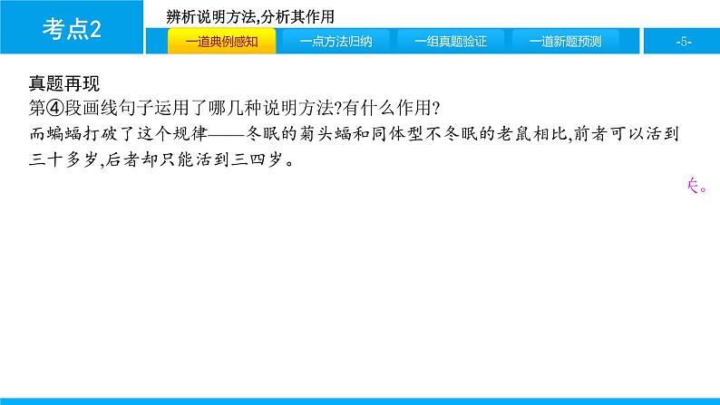中考语文说明文阅读课件：第二篇  考点2　辨析说明方法,分析其作用(共31张PPT)PPT课件第5页