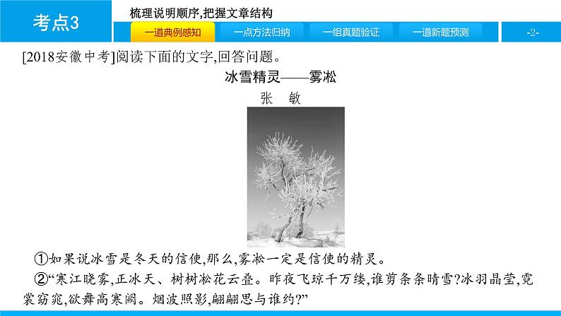 中考语文说明文阅读课件：第二篇  考点3　梳理说明顺序,把握文章结构(共28张PPT)PPT课件第2页